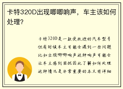 卡特320D出现唧唧响声，车主该如何处理？